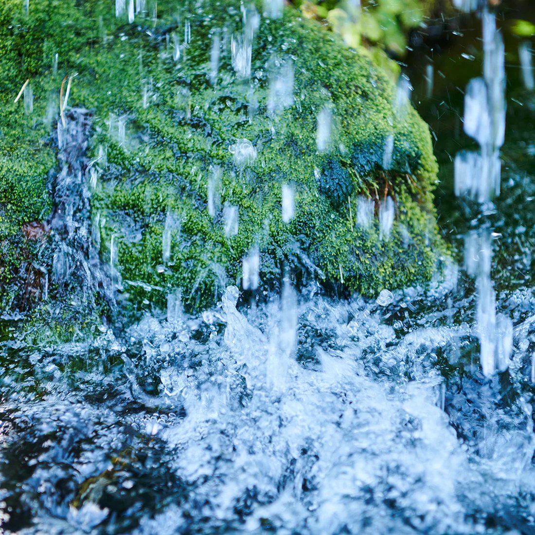 💧 칡덩굴 연못(쓰즈라부치)